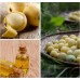 Эликсир с маслом Марулы для роста волос и восстановления сухих кончиков, MEOLI, 60 мл Эликсир с маслом Марулы для роста волос и восстановления сухих кончиков, MEOLI, 60 мл